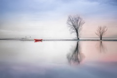 Baeume und rotes Boot am Ufer-01