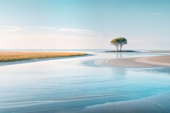 Baum am Ufer-71a