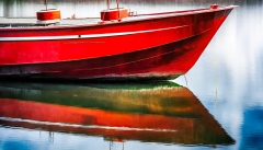 Bug-rotes-Boot-3