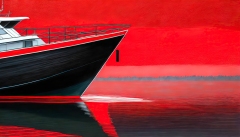 Bug-rotes-Boot-7
