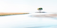 Baum am Ufer-72