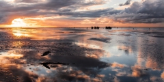 Evening atmosphere in the mudflats 4a